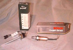 Oxygen Sensors